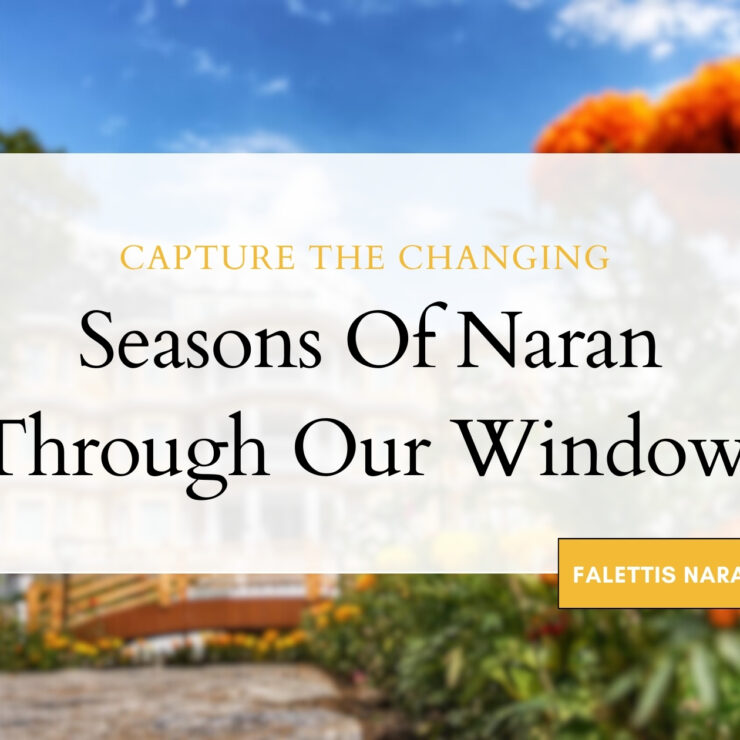 Capture the Changing Seasons of Naran Through Our Window