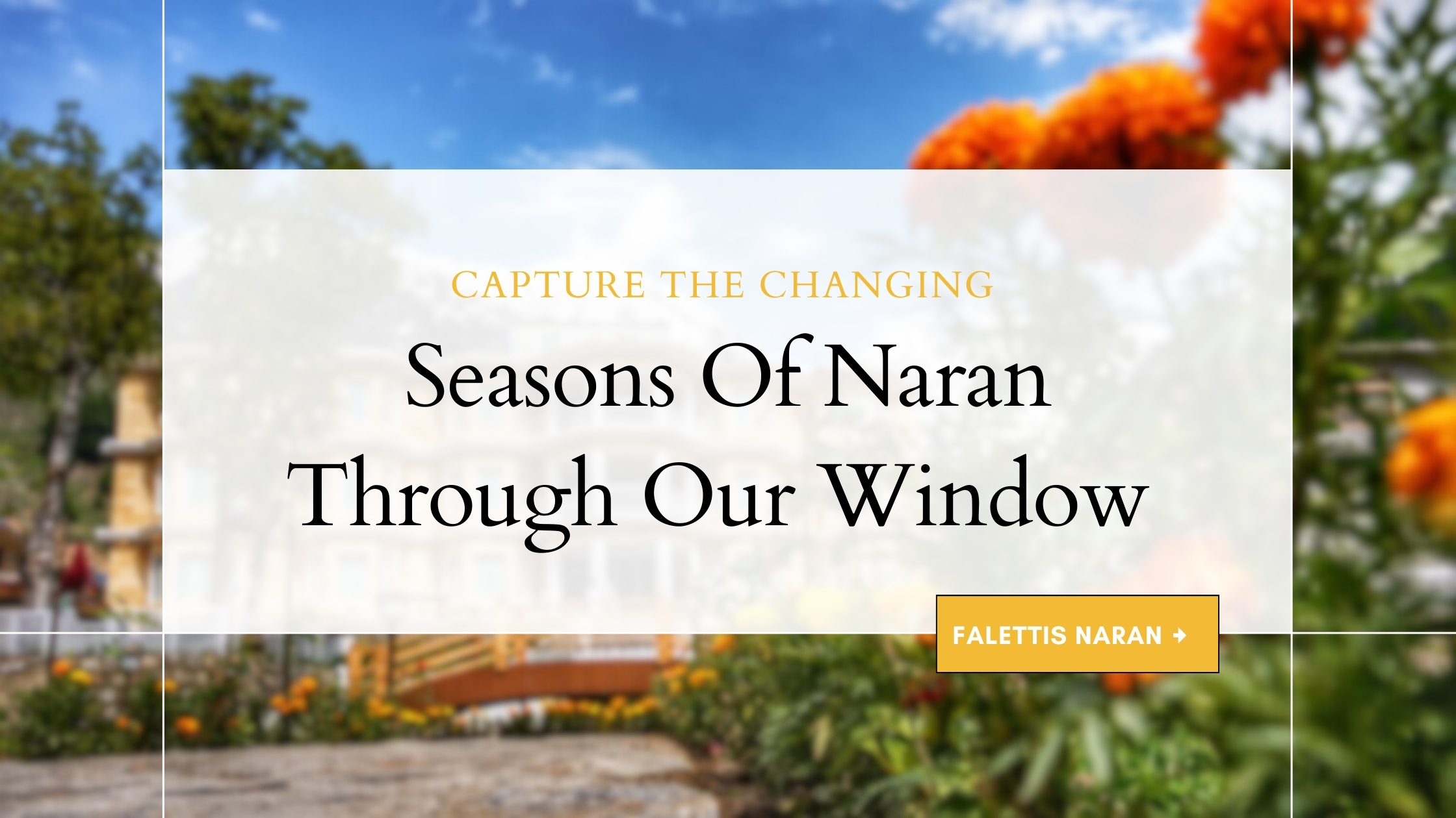 Capture the Changing Seasons of Naran Through Our Window